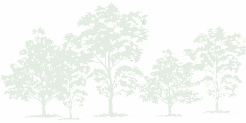 A row of stylized light green trees with detailed branches and leaves against a white background