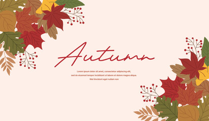 An autumn background illustration featuring maple, ginkgo, and fallen leaves. This autumn template is perfect for holiday cards, Thanksgiving invitations, social media banners, and more.