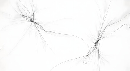 Abstract white background with black lines and dots for modern, minimalist, and hightech designs and presentations