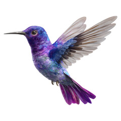 Colorful Hummingbird with Vibrant Plumage in Mid-Flight Capturing Nature's Beauty and Grace