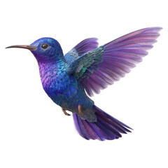 Vibrant Hummingbird in Flight with Stunning Colors and Intricate Feather Details