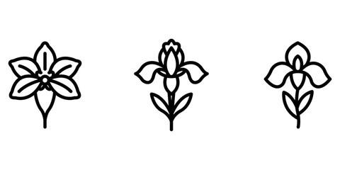 iris outline or line icon design bundle.