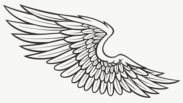 Single Wing Design Black and White Bird Feather Illustration Graphic Element Tattoo Design Print Vector Art.
