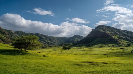 Fototapeta premium Serene valley with rolling green hills, solitary tree, rocky formations under bright blue sky,