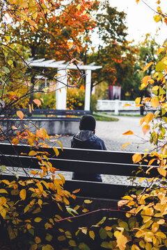 Child sitting on a bench surrounded by autumn colors