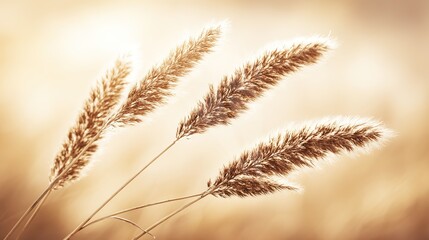 Fototapeta premium feathery. Bohemian-style pampas grass arrangement in neutral tones with warm sunlight. gardening catalogs, home-decor guides, designed for home decor and floral branding, used by food bloggers.