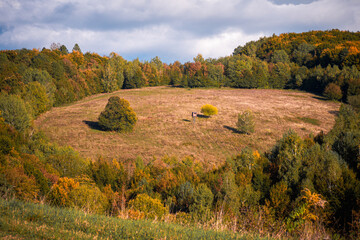 Fototapeta premium Autumn landscape with a meadow surrounded by forest and a wooden hunting tower in the center. Peaceful countryside view with colorful trees and cloudy sky.