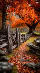 Autumn path along rustic fence under orange maple tree