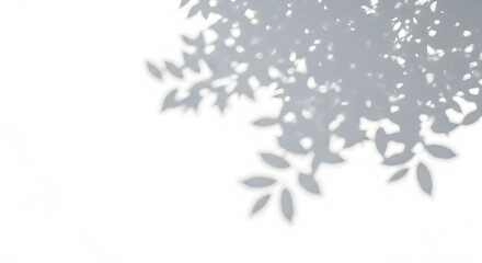 Abstract shadows of leaves on white background, creating a serene and natural atmosphere, ideal for adding a touch of nature to your designs