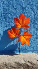 Orange autumn leaves against bright blue wall
