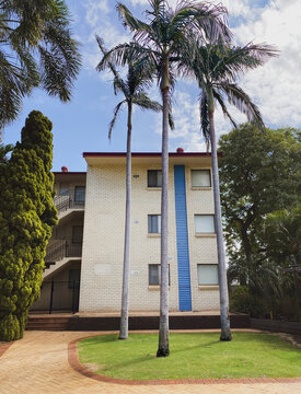 Retro Hotel architecture with three palms on grassed and paved foreground