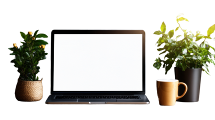 Laptop with coffee and plants on Transparent Background