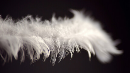 Obraz premium finesse. Close-up of a delicate white feather wing, showcasing intricate details in soft, focused light. wildlife magazines, conservation campaigns, designed for nature documentaries and education.