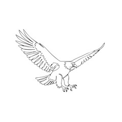 Obraz premium Flying Eagle Vector Illustration