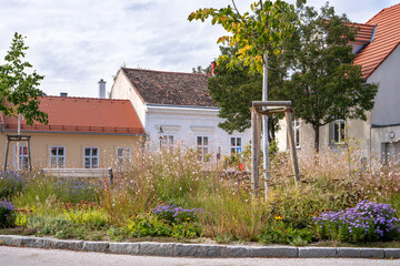 Urban Green Space Autumn The