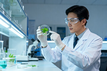 Scientist examining plant in lab