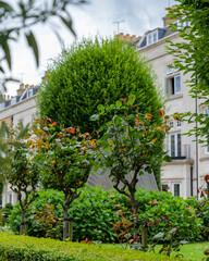 London - 06 24 2022: Flowerbeds and plants in Wycombe Square