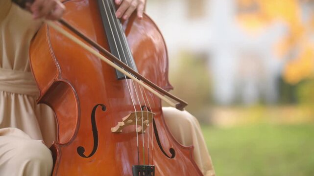 A woman in a beautiful vintage dress plays the cello in the park in autumn. Open-air concert, autumn music inspiration no face closeup	