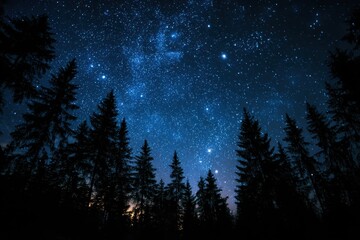 Fototapeta premium Starry night sky with dark silhouettes of pine trees, beautiful scenery. Use as a nature backdrop, travel promo, or spiritual, calming visual.