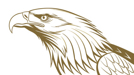 Stylized Eagle Head Profile Bird of Prey Vector Illustration Wildlife Art Nature Graphic Design.