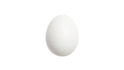 White egg on white
