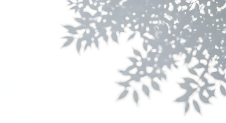 Shadow of leaves on white wall, creating a natural and calming atmosphere, isolated on white background