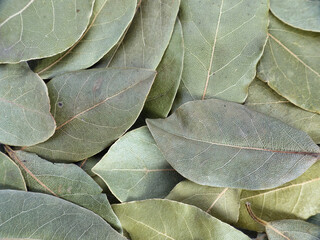 Bunch of bay leaves shot from above