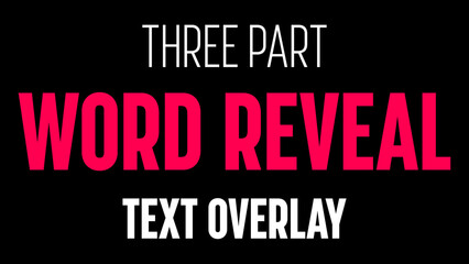 Three Part Word Reveal Flashing Text