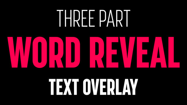 Three Part Word Reveal Flashing Text