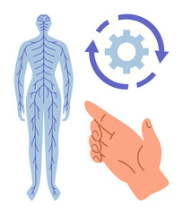 Anatomical nervous system diagram, gear with arrows for processes, hand pointing. Ideal for health, neurology, biology, science, education body functions decision-making. Simple flat metaphor