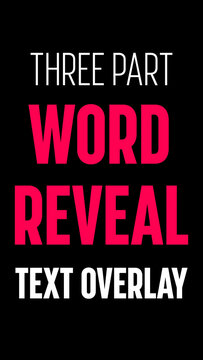 Three Part Word Reveal Flashing Text Vertical