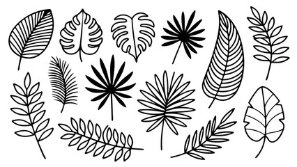 Set of tropical palm monstera fern and decorative leaf outlines in black line art style.