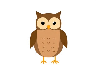 Obraz premium A cartoon-style illustration of a brown owl with large eyes and a sharp beak, standing on a white background, simplified