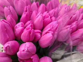 Lot of multicolored tulips bouquets. Flower market or store