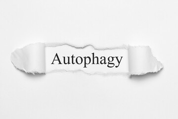 Autophagy	

