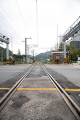 Obraz premium Railway Tracks and Cosmos Flowers in Taebaek