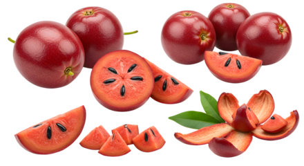 Fresh red wax apples whole and sliced isolated on white background, tropical fruit perfect for healthy eating and culinary use