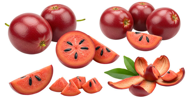 Fresh red wax apples whole and sliced isolated on white background, tropical fruit perfect for healthy eating and culinary use