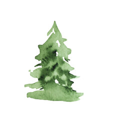 Hand drawn watercolor green spruce or pine tree, isolated illustration for winter wedding