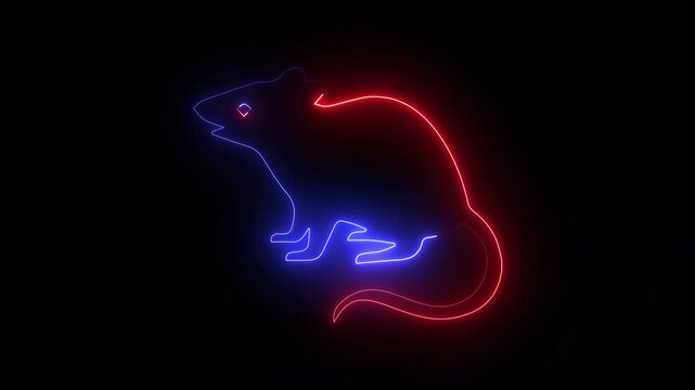 Glowing the rat neon color saber animation with black background. HD video