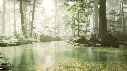 Sunlight filters through a dense forest, creating a magical atmosphere. A calm stream flows gently, reflecting the lush greens and adding tranquility to this peaceful woodland oasis.