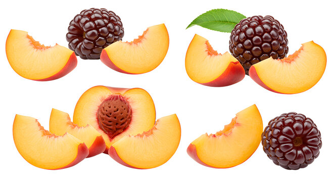 Fresh ripe blackberries and sliced peaches isolated on white background, healthy fruit close-up perfect for culinary use