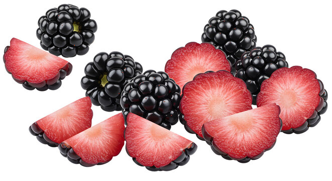 Fresh ripe blackberries and sliced red strawberries isolated on white background, healthy fruit concept perfect for food blogs and nutrition articles