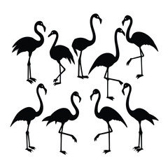 Flamingo Silhouette Vector Collection