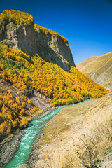 Colorful autumn valley with a fast-flowing river near Truso Gorge in Georgia. Golden foliage, dramatic cliffs, and rural life surrounded by majestic Caucasus mountains