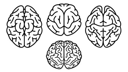 Vector Human Brain Line Art