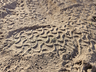 Closeup of the imprint pattern created by a rubber vehicle tire in loose sand type soil.