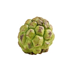 Obraz premium Artificial Custard Apple Realistic Decorative Fruit Display 