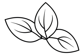 basil leaf vector line art flower silhouette