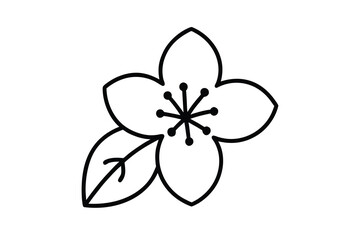 cherry blossom vector line art flower silhouette